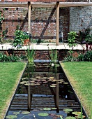 Garden pond in front of terrace with pergola