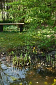 Romantic garden pond