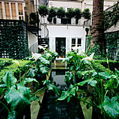 Courtyard with water basin and white calla lilies (Zantedeschia)