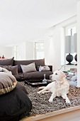 Dog on flokati rug with comfortable, brown sofa set in modern setting