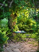 Set table in a garden under a tree