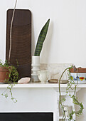 Decorative objects and plants on a white mantelpiece