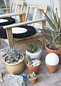 Wooden chairs with black and white seat cushions and succulents in terracotta pots