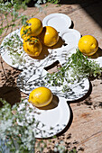 Lemons and plants on plates and wooden table