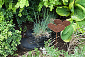 Old shoes as a plant pot and rustic heart decoration in the garden