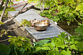 Golden bowls on wooden walkway in green garden with pond