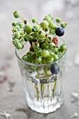 Unripe blueberries in water glass