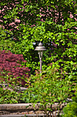 Garden lamp between flowering shrubs in the spring sunshine