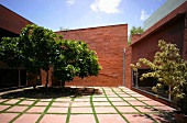 Paved courtyard with trees