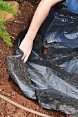 Planting bulbs under a tree (lining with plastic sheet)