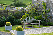 Wooden bench and box hedges in a modern garden