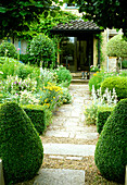 Paved garden path with tiered shrub beds and boxwood hedges