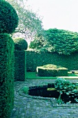 Pool in paved area of gardens with topiary box hedges