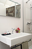 Modern bathroom with white washbasin and wall mirror