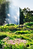 Herbaceous borders and fountain in park (Killesbergpark, Stuttgart, Germany)