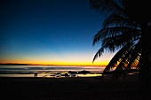 Sonnenuntergang am Palmenstrand