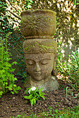Stone head of Buddha with integrated planter in flowerbed