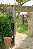 Grünpflanzen an Natursteinmauer neben dem Gartentor