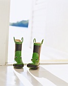 Humorous, green and grey patterned wellies with handles and faces