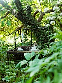 Cat on bench in overgrown garden
