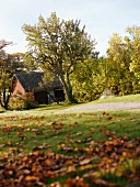 Autumnal garden with a wooden house