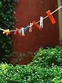 Clothes line with clothes pegs
