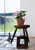 Tontopf mit Orchidee auf rustikalem Holzschemel vor Panoramafenster