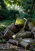 Log pile in woodland garden
