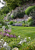 Sommerlicher Garten mit blühender Mauer