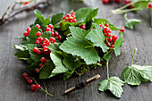 A wreath of redcurrants being made