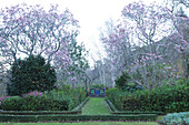 Garten mit Magnolienbäumen