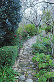 Paved garden paths leading past azaleas