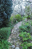 Stone path leading through garden