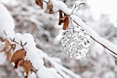 Shiny silver pine cone in snow