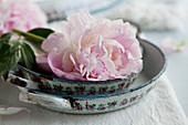 Pink peony and casserole dishes