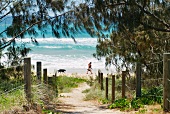 Fenced path leading to the ocean; person and dog running of the beach