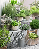 Fresh herbs in flower pots on a terrace