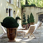 Topiary box shrubs in copper planters and terrace furniture in front of elegant country house