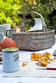 Chanterelles on newspaper in front of wicker basket on table in garden