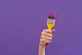 Hand holding paintbrush dipped in purple paint