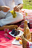 Picknick auf der Wiese - Mann sitzt auf roter Decke vor Weintrauben, Glas Wein und Korb mit Brot