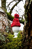 Egg with bobble hat in eggcup on moss