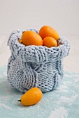 Knitted bag filled with kumquats