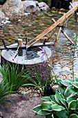 Teichlandschaft im Garten - Steintrog mit filigran gestaltetem Wasserzulauf aus einem aufgeschnittenen Bambusrohr