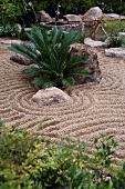 Small palm ferns and boulders in Japanese-style gravel garden