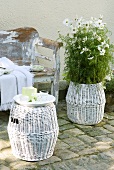 White-flowering plant in wicker planter and matching stool in front of shabby chic vintage bench
