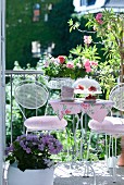 Metallstühle und gedeckter Kaffeetisch mit rosé geblümtem Tischtuch zwischen Blumentöpfen auf einem romantischen Balkon