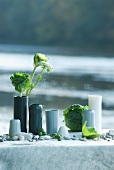 Table decoration for summer party on river bank; various vases, pebbles of different sizes, savoy cabbage and wild flowers
