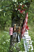 Tree decorated with gardening tools