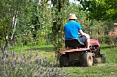 Man driving a ride-on lawnmower through garden